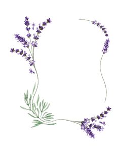 lavender flowers arranged in the shape of a circle