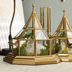 three glass houses with plants in them sitting on top of a table next to a lamp