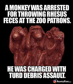 three monkeys sitting next to each other in front of a black background with the words, a monkey was arrested for throwing rheus faces at the zoo patrons he was charged