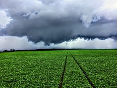 a green field under a cloudy sky with tracks in the grass leading to an approaching storm