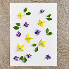 some yellow and purple flowers are on a white paper with green leaves in the middle