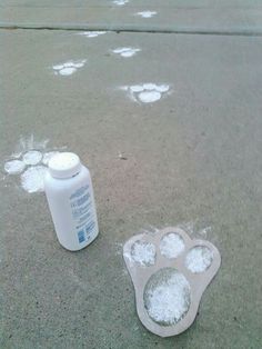 a bottle and paw prints on the ground