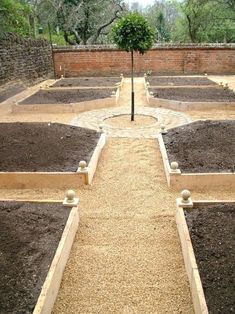 a garden with many different types of plants in it