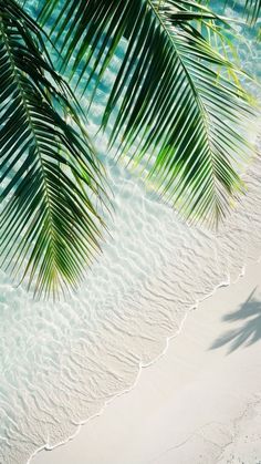 the shadow of a palm tree is seen on an empty beach with white sand and blue water