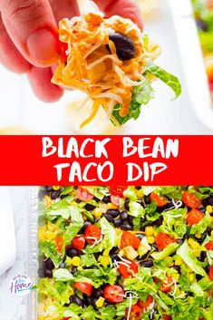 black bean taco dip is an easy and delicious appetizer