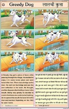 an illustrated book with pictures of dogs running and jumping in the water, which includes instructions for