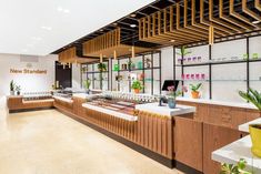 the inside of a new standard store with wooden shelves and plant displays on the wall