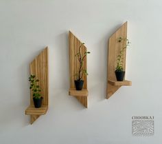 three wooden shelves with plants on them