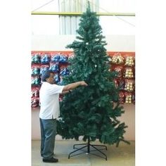 a man standing next to a green christmas tree