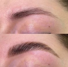 Tint And Laminate Brows, Laminated And Tinted Eyebrows, Laminated Tinted Eyebrows, Tinted Laminated Brows, Laminate Eyebrows, Eyebrow Lamination And Tint, Eyebrows Laminated, Eyebrows Lamination, Laminated Eyebrows