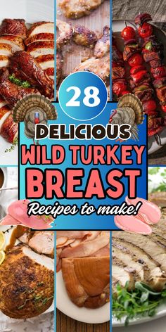 the cover of 28 delicious wild turkey breast recipes to make, including meats and vegetables