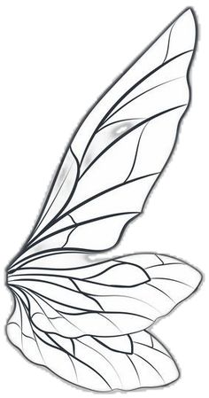 a drawing of a white butterfly wing with black lines on it's wings and the tail