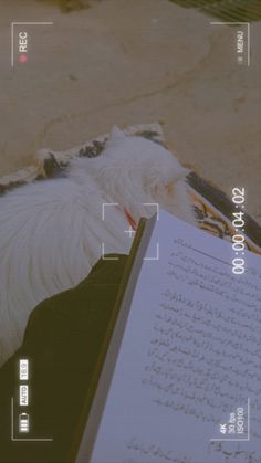 a white dog laying on top of a book next to a person holding an open book