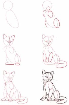 some drawings of cats sitting down and one cat is looking at the camera with its eyes closed