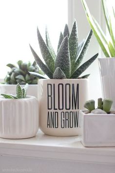 three potted plants sitting on top of a window sill next to each other