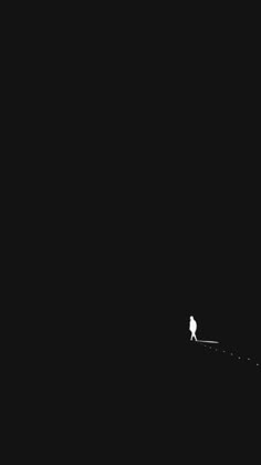 a lone bird is standing on a wire in the dark