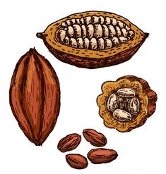 an image of nuts and seeds on a white background with clippings to the side