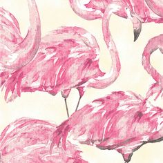 two pink flamingos standing next to each other on a white background with watercolor effect