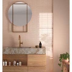 a bathroom sink with a mirror above it and a plant in the corner next to it