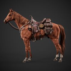 a brown horse with saddle and bridle on it's back standing in front of a black background