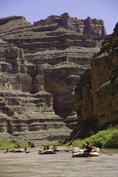 several people in canoes paddling down the river with cliffs in the background and grass growing on the bank