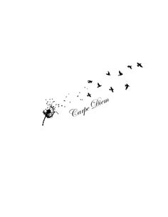 a black and white photo of birds flying in the sky with caption that reads, cupcake queen