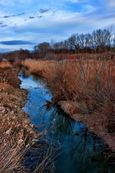 a small stream running through a dry grass covered field