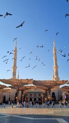 many birds are flying in the air above a building with tall towers and minalis