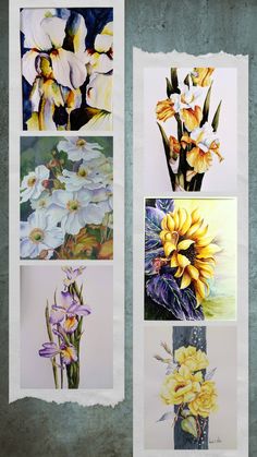 four pictures of flowers are shown on the wall