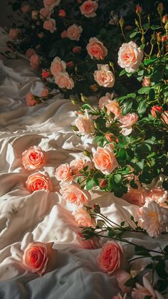 an arrangement of pink roses on a white sheet