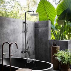 a bathtub in the middle of a bathroom with green plants