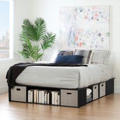 a bed with two storage bins underneath it and a plant in the corner next to it