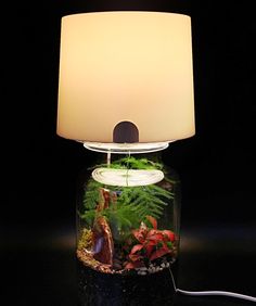 a lamp that is on top of a table with some plants in it and rocks underneath