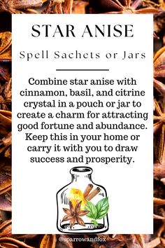 Star anise is truly a magical herb, rich with history, medicinal benefits, and spiritual power. Whether you're using it to protect your space, enhance your psychic abilities, or invite more luck into your life, its star-shaped pods offer much more than meets the eye. Embrace the magic of star anise in your daily rituals and discover the transformation it can bring. Star Anise Witchcraft, Anise Witchcraft, Abundance Spells, Book Staircase, Spirit Stone, Cinnamon Broom, Witchcraft Spells For Beginners, Money Spells That Work, Magickal Herbs