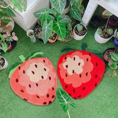 two strawberry shaped rugs sitting on the ground next to potted plants in pots