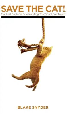 an orange cat hanging from a rope with the caption save the cat