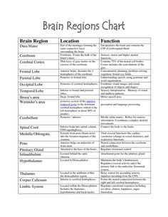 the brain regions chart is shown in black and white, with text on top of it