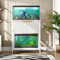 a fish tank sitting on top of a white cabinet in a living room next to a plant