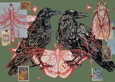 two black crows sitting next to each other on top of postcards with red writing