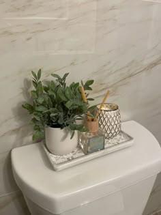 a white toilet sitting next to a plant and cup on top of it's tank