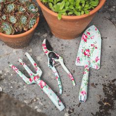 gardening utensils and flowers are on the ground next to potted succulents