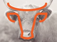 an orange bull's head with long horns in front of a gray sky background