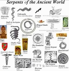 an ancient world poster with many different things on it's side, including serpents and