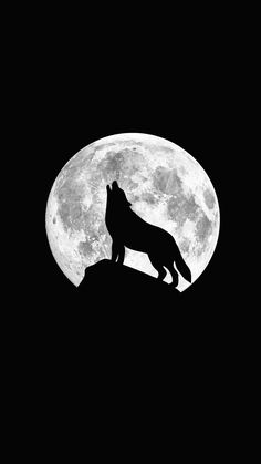 a wolf standing on top of a hill in front of the moon