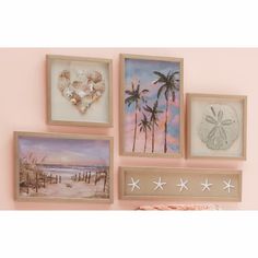 there are four pictures hanging on the wall with starfishs and sand dollar signs