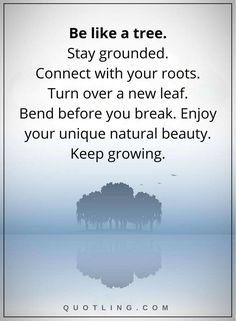 a quote with trees in the background that says, be like a tree stay grounded connect with your roots turn over a new leaf bend before you break