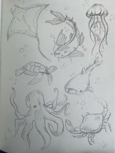 some drawings of different types of sea animals