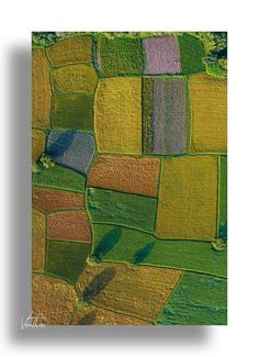 an aerial view of green and yellow fields