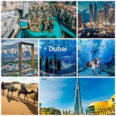 the collage shows pictures of different places in the world, including buildings and camels