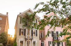 a row of houses with palm trees in the foreground and pink buildings on either side